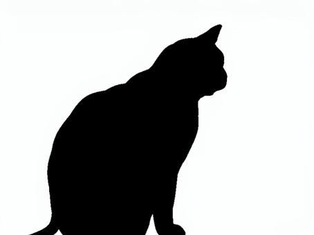 猫。。 猫,シルエット,動物,背景透過,黒猫,イラスト,素材,透過png,アイコン,ペットのイラスト素材