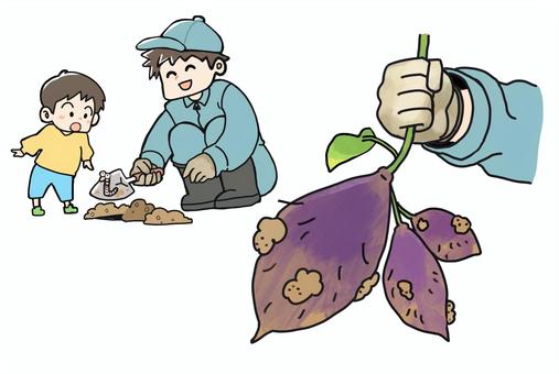 芋掘り・子供・大人 芋掘り・子供・大人 芋掘り,子供,大人,芋掘り体験,スコップ,土,ミミズ,お兄さん,ちび,芋のイラスト素材