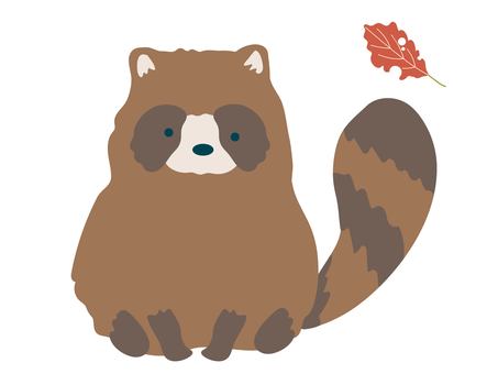 たぬき たぬき,狸,森,動物,アライグマ,動物園,手描き,哺乳類,線なし,葉っぱのイラスト素材