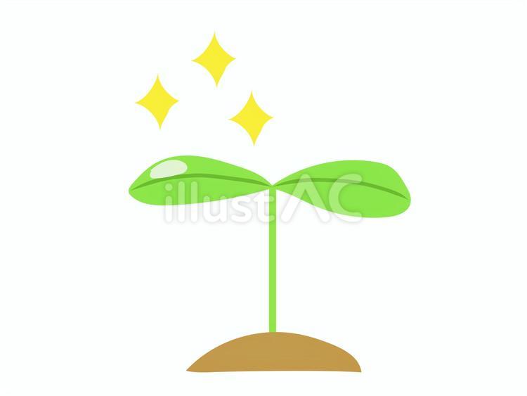 芽を出した双葉のイラスト 芽,双葉,かわいいのイラスト素材