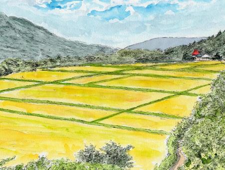 眼下に広がる秋 風景画,風景,水彩画,スケッチ,ペンスケッチ,田んぼ,秋,黄金色,木,山並みのイラスト素材