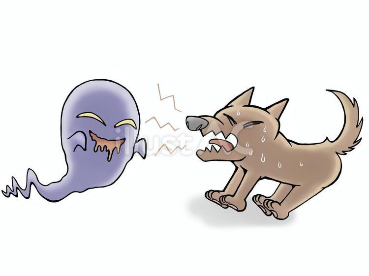 オバケと犬 怖がる,吠える,オバケのイラスト素材