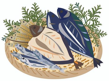 ザルに盛った魚の干物・焼き魚・塩干 魚,干物,焼き魚,塩干,塩魚,ザル,アジ,ほっけ,小魚,イワシのイラスト素材