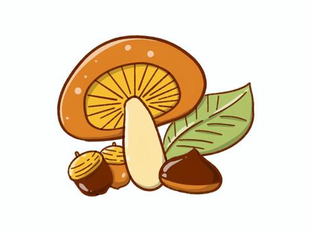 実りの秋 きのこ,落ち葉,どんぐり,実り,秋,かわいい,シンプル,手描きのイラスト素材