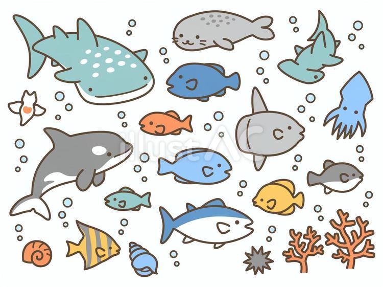 ゆるかわいい海の生き物2 海の生き物,魚,魚介類のイラスト素材