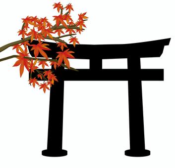 鳥居紅葉 鳥居,紅葉,枝,秋,神社,敷地,入り口,参拝,宗教,シルエットのイラスト素材