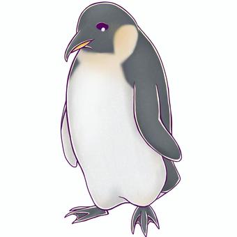 penguin, penguin, penetration penguin, aquarium, JPG and PNG