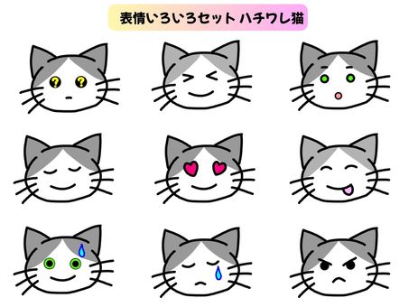 かわいい猫の顔表情色々セット＿ハチワレ 猫,顔,表情,クエッション,？,わからない,理解不能,はてな,笑顔,驚くのイラスト素材