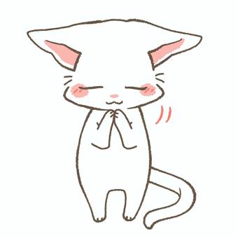 手を合わせお辞儀をする白猫 ごめん,謝罪,挨拶,ごめんなさい,すみません,手を合わせる,合掌,礼,許して,頭を下げるのイラスト素材
