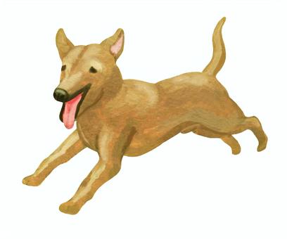 走る犬 - 2 走る犬 - 2 犬,茶色,走る,走っている,はしゃぐ,うれしい,動物,ペット,ドッグラン,リアルのイラスト素材