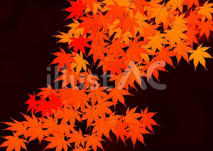フレーム 秋,紅葉,背景のイラスト素材