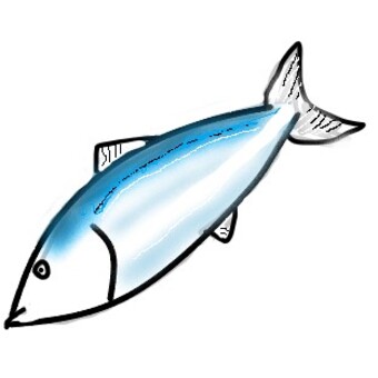 青魚 さかな,青魚,魚類,手書き,シンプルのイラスト素材