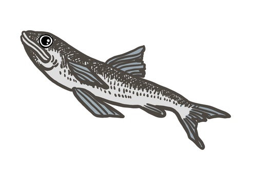 ワニエソのイラスト