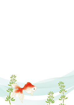 金魚が泳いでいるウェーブ背景素材 金魚,魚,暑中見舞い,水,夏,曲線,ウェーブ,背景,波,ベクターのイラスト素材