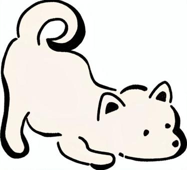 白豆柴 犬,白豆柴,豆柴,わんちゃん,ほのぼの,かわいい,手書き風,ふせ,しっぽ,小型犬のイラスト素材