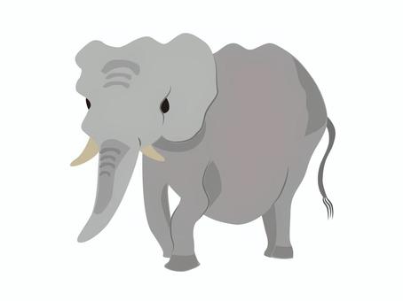 動物の素材、ゾウ ゾウ,動物,一頭,大きい,動物園,挿絵,素材,イラストのイラスト素材