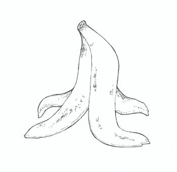 【手描き】バナナの皮の線画イラスト バナナ,皮,生ごみ,手描き,リアル,モノクロ,挿絵,白バック,線画,イラストのイラスト素材