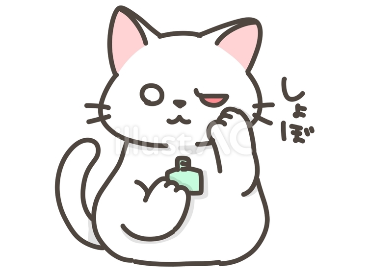 赤目で目薬をさそうとする白猫 猫,白猫,動物のイラスト素材