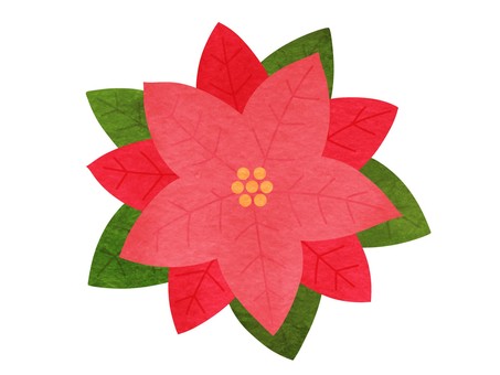ポインセチアの手描き水彩イラスト 