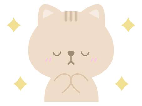 お願いするネコ お願いするネコ 猫,お願い,ありがとう,感謝,キラキラ,よろしくお願いします,動物,シンプル,可愛いのイラスト素材