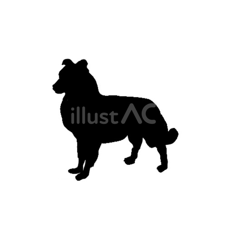 犬。。 犬,シルエット,動物のイラスト素材
