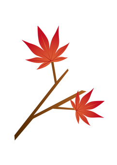 Autumn leaves (with branches), icon, material, illustration, JPG, PNG and EPS