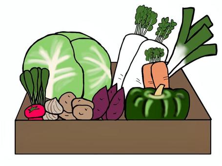 Handwritten vegetable set, vegetables, cabbage, ginseng, JPG and PNG