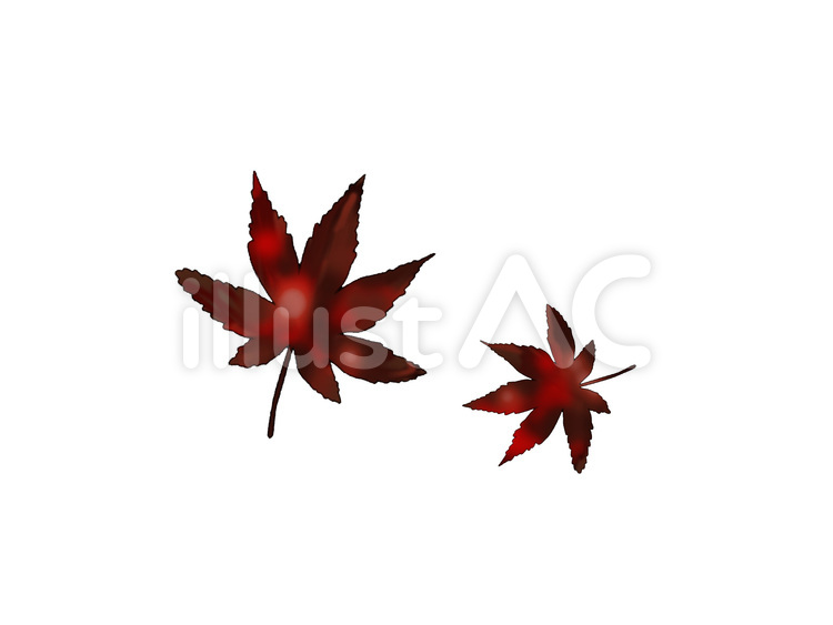 もみじ 紅葉,赤,葉のイラスト素材