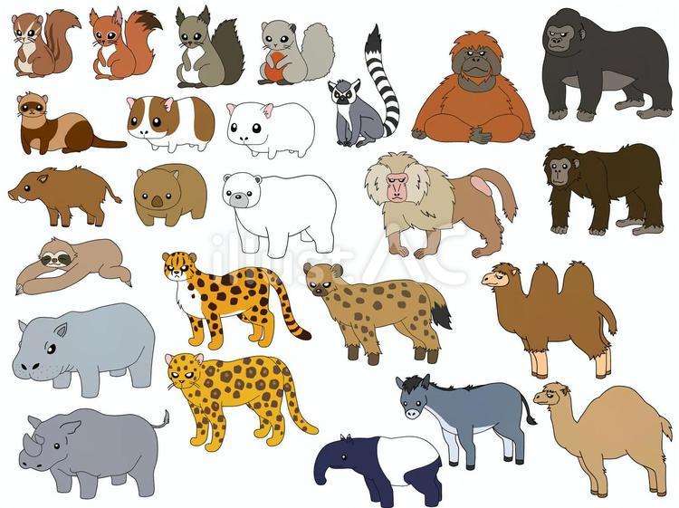 動物まとめセット２ 動物,野生動物,動物園のイラスト素材