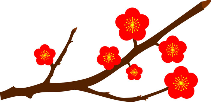 plum, plum, new year, spring, JPG and PNG