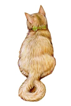 後ろ姿のねこ　マンチカン　 猫,マンチカン,後ろ姿,素朴,優しい,色鉛筆,手描きのイラスト素材