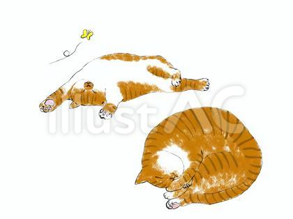落書き風のトラ猫 セット