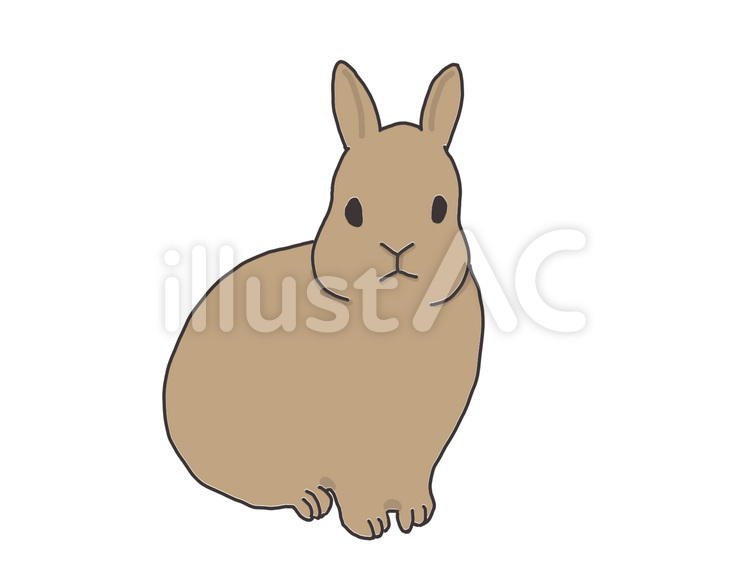 茶色　ウサギ　単体　イラスト ウサギ,茶色,単体のイラスト素材