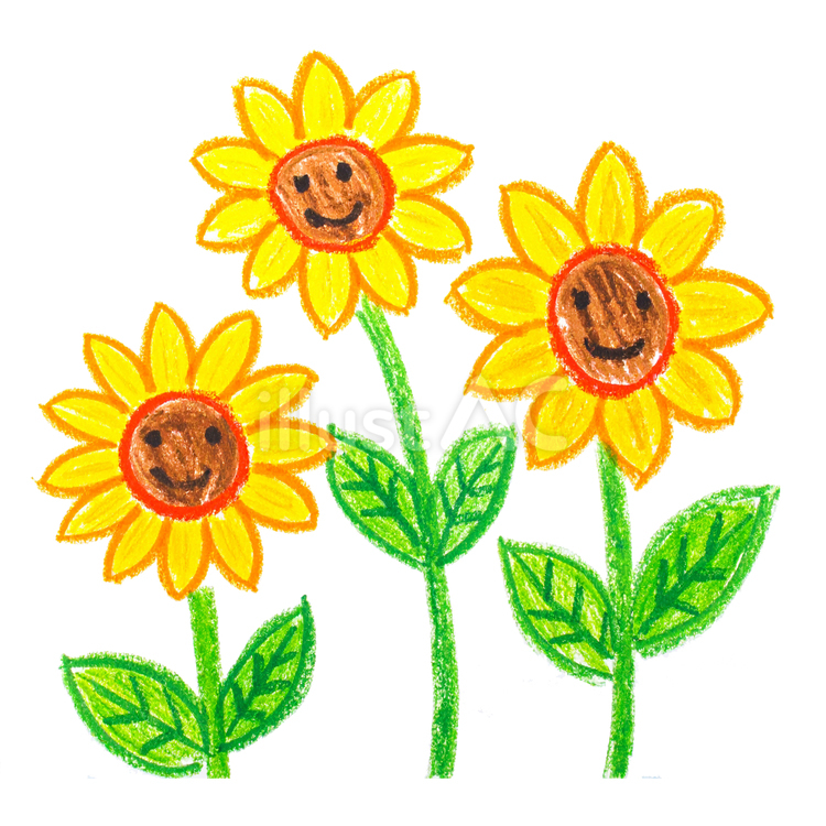 児童画風　ひまわり ひまわり,花,8月のイラスト素材