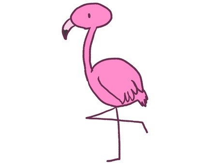 フラミンゴ フラミンゴ,鳥,動物,生き物,鳥類,くちばし,ピンク,全身,1羽,単体のイラスト素材