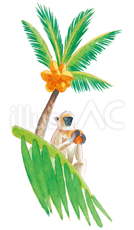南国のヤシの木と猿 木,葉っぱ,植物のイラスト素材