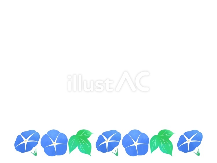 アサガオ　① 朝顔,花,葉のイラスト素材