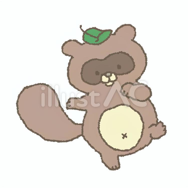 たぬき たぬきのイラスト素材
