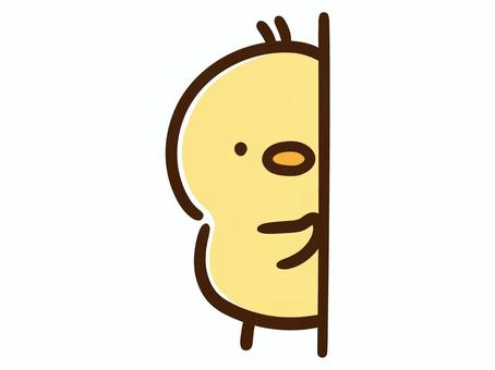 壁からじっと観察するかわいいひよこ 壁からじっと観察するかわいいひよこ ひよこ,覗く,見る,観察,じー,恥ずかしい,恥ずかしがり屋,シャイ,人見知り,様子のイラスト素材