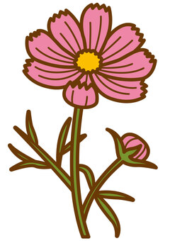 コスモス-4c コスモス,花,植物,葉,蕾,かわいい,シンプルのイラスト素材