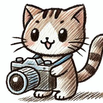 Cat photographer, JPG and PNG Cat photographer, cat, camera, tiny, JPG and PNG