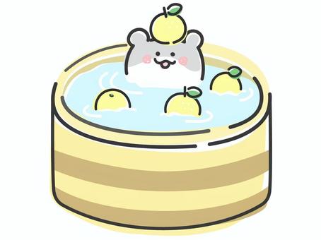 ゆず湯に入るかわいいハムスターのイラスト ゆず湯に入るかわいいハムスターのイラスト ハムスター,ゆず,柚子,かわいい,冬至,お風呂,柚子湯,入浴,温泉,動物のイラスト素材