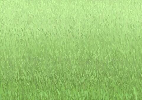 猫じゃらしだらけの草原イラスト風景 猫じゃらし,草原,風景,黄緑,グリーン,色,カラー,レトロ,背景,壁紙のイラスト素材