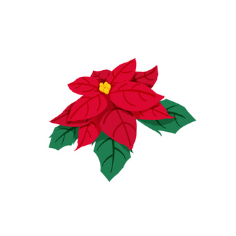 ポインセチア　(1輪)