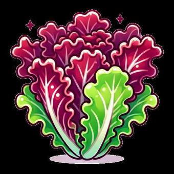 サニーレタス 新鮮 サニーレタス 新鮮 サニーレタス,新鮮,野菜のイラスト素材
