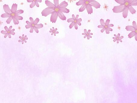 コスモス水彩背景 コスモス,秋桜,秋,花,背景,水彩,水彩風,紫,パープル,手描きのイラスト素材