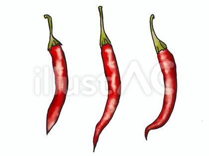 赤唐辛子 手描き spice