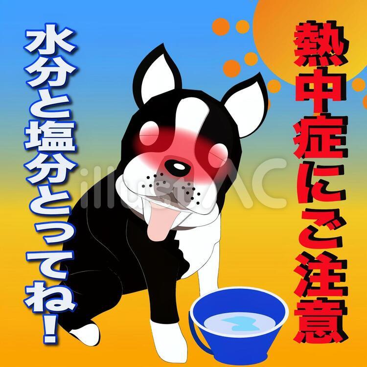 熱中症にご注意 熱中症,ご注意,水のイラスト素材