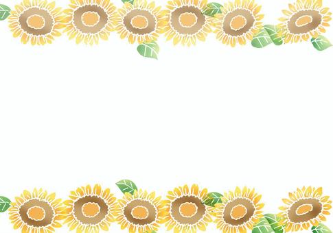 Sunflower top and bottom border ruled line, , JPG