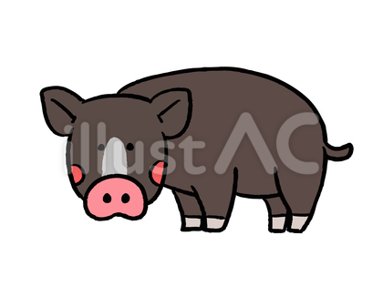 黒豚のイラスト